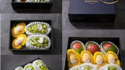 🎁 샤인머스켓 추석선물: 품격있는 선물, 똑똑하게 고르는 법!